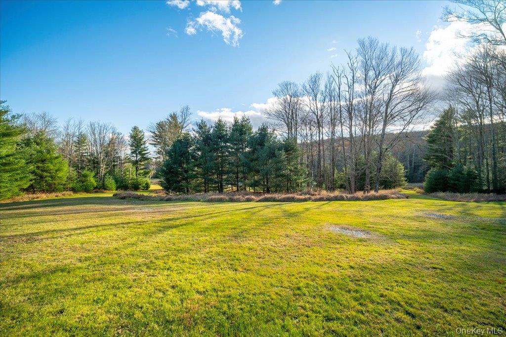 236 Budd Road Wurtsboro, NY 12790 - Photo 33 of 42 a view of a swimming pool with an outdoor space and seating area