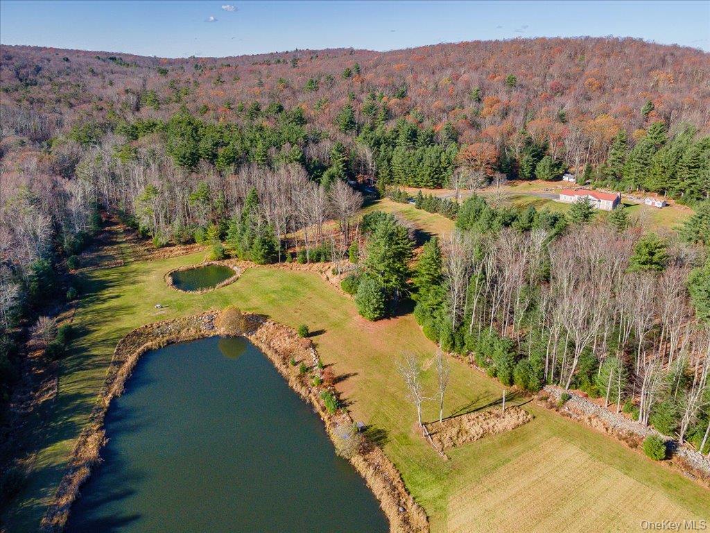 236 Budd Road Wurtsboro, NY 12790 - Photo 34 of 42 a view of a lake in middle of the town