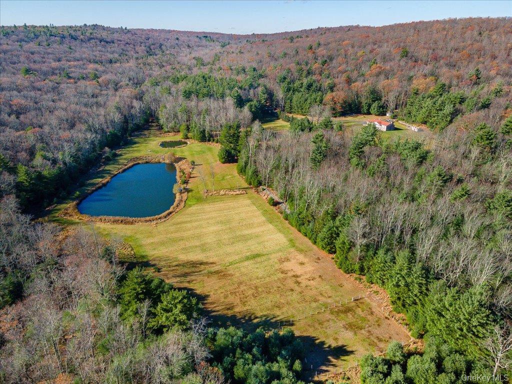 236 Budd Road Wurtsboro, NY 12790 - Photo 35 of 42