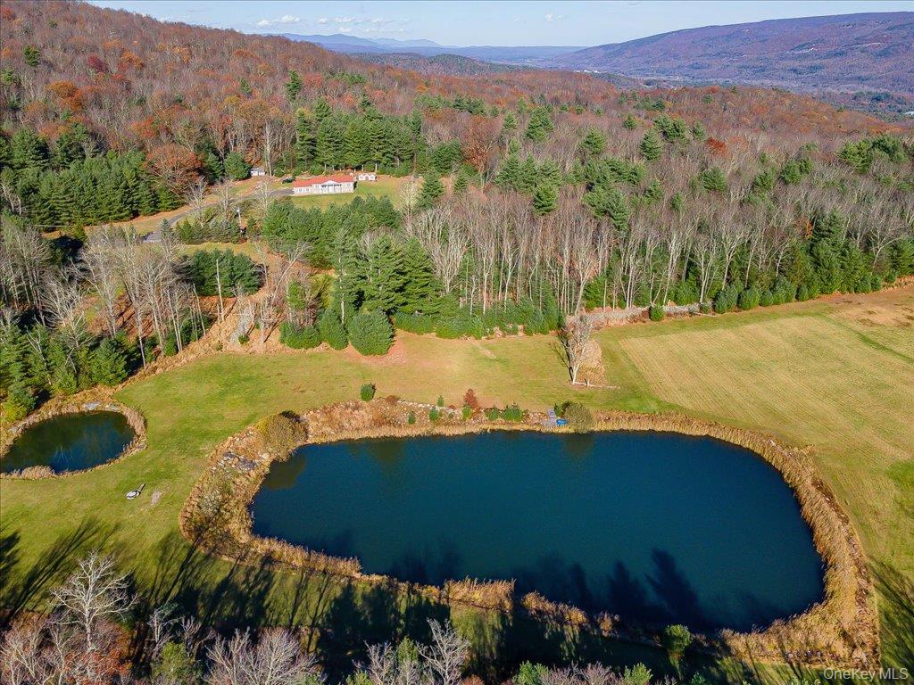 236 Budd Road Wurtsboro, NY 12790 - Photo 36 of 42 a view of a lake in middle of the town