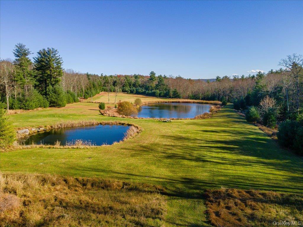 236 Budd Road Wurtsboro, NY 12790 - Photo 39 of 42 a view of a lake with a big yard