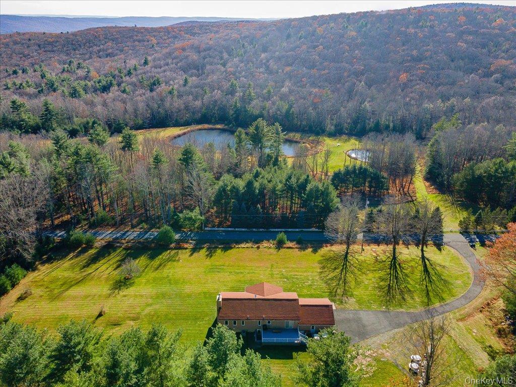 236 Budd Road Wurtsboro, NY 12790 - Photo 41 of 42 a view of swimming pool