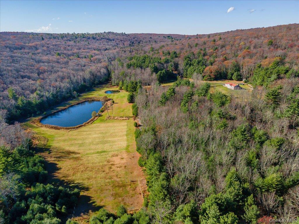 236 Budd Road Wurtsboro, NY 12790 - Photo 42 of 42 an aerial view of residential houses with outdoor space and trees