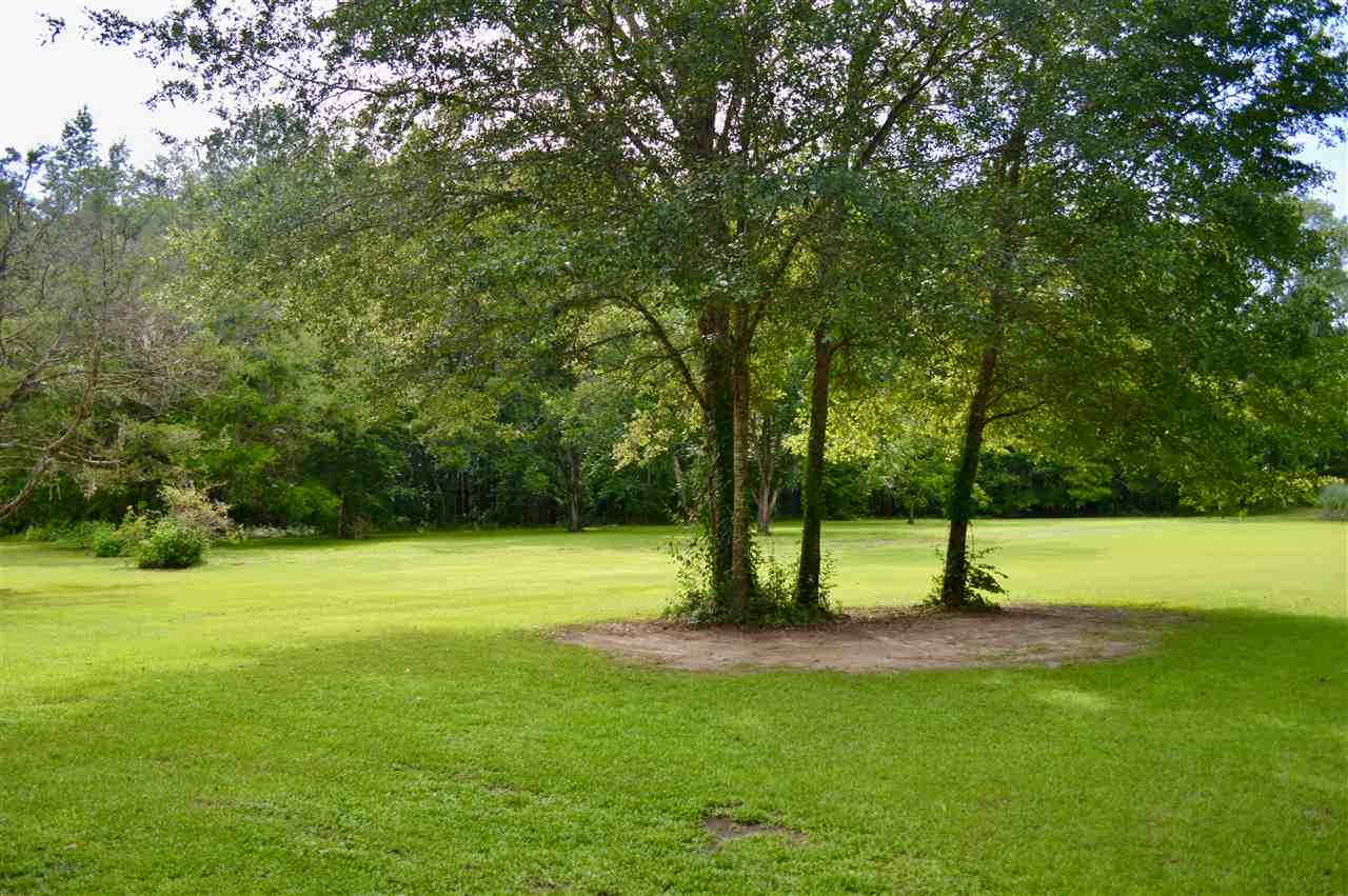 826 Willie Road Monticello, FL 32344 - Photo 1 of 24 Gallery Image 1
