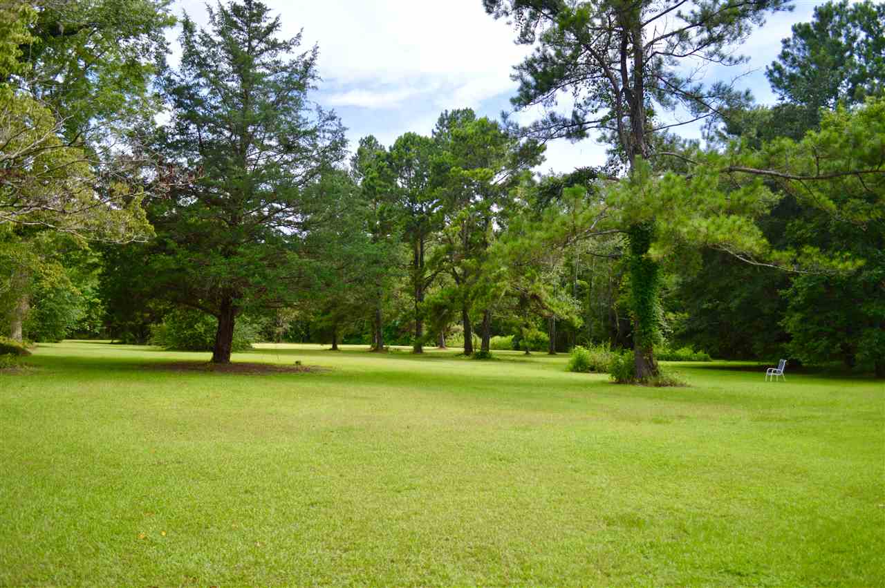 826 Willie Road Monticello, FL 32344 - Photo 3 of 24 Gallery Image 3