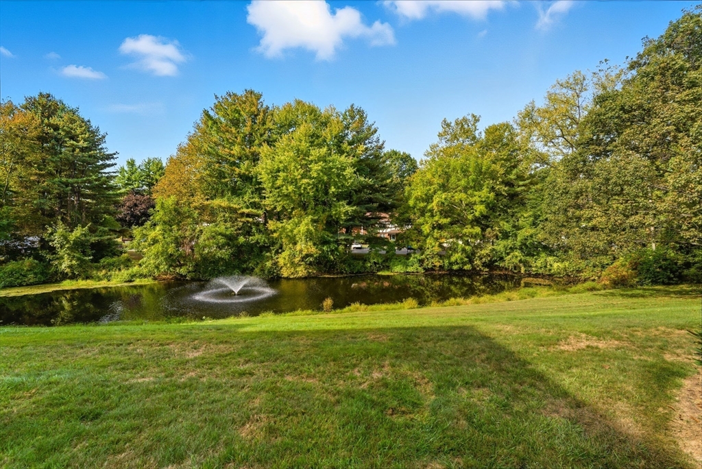 41 West Summit Street, Unit 55 South Hadley, MA 01075 - Photo 33 of 42