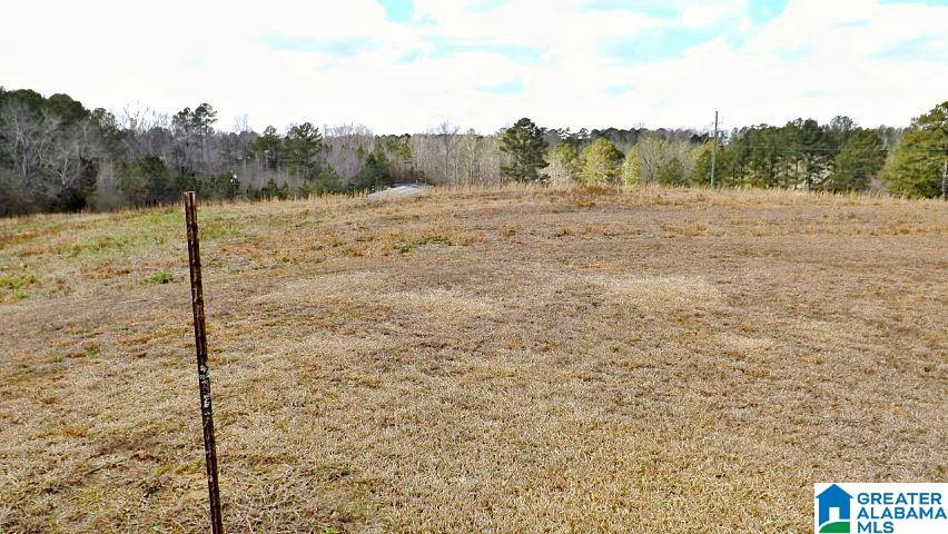 0 Highway 231, Unit 1 5 Oneonta, AL 35121 - Photo 11 of 23