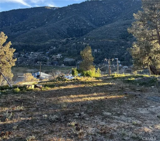 a view of a fire pit with large trees