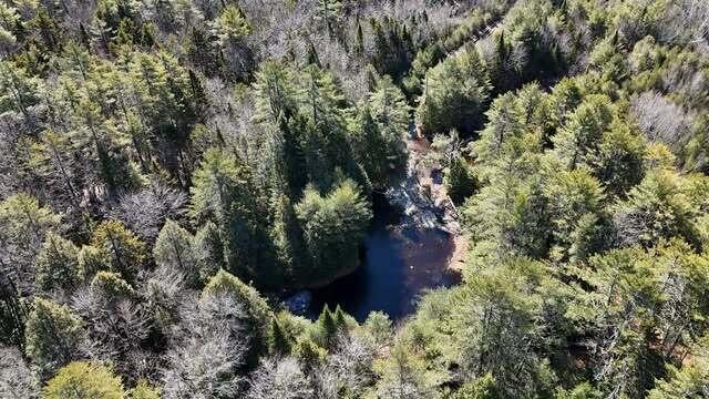 Lot 114 Old Brunswick Road Durham, ME 04222 - Photo 21 of 38