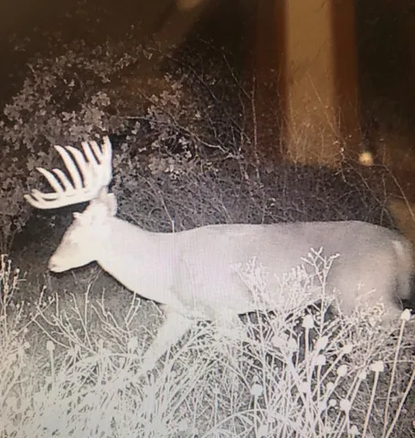 a view of wooden floor