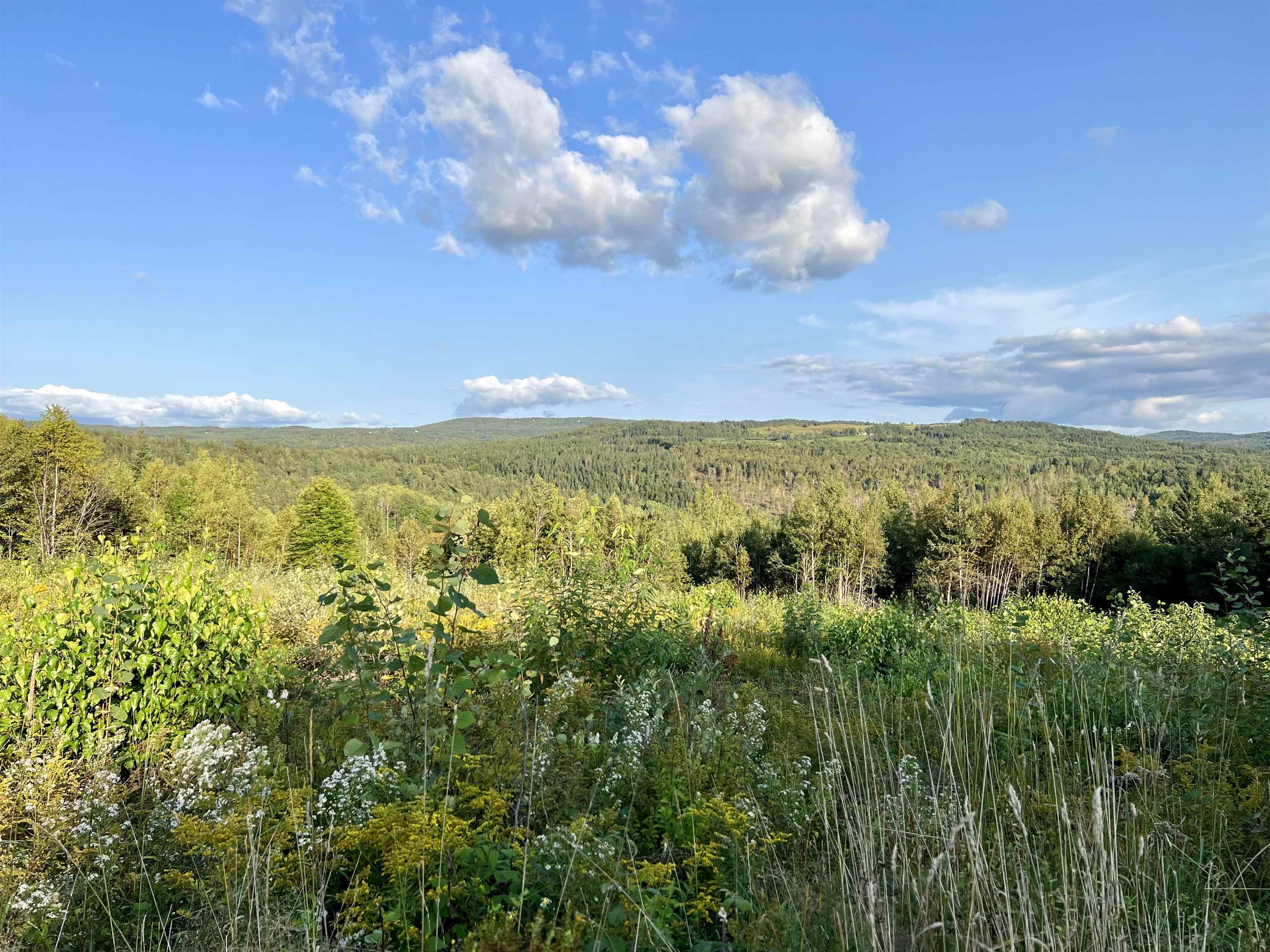 Lot 3 Gulch Brook Road, Unit 3 Stewartstown, NH 03576 - Photo 1 of 7