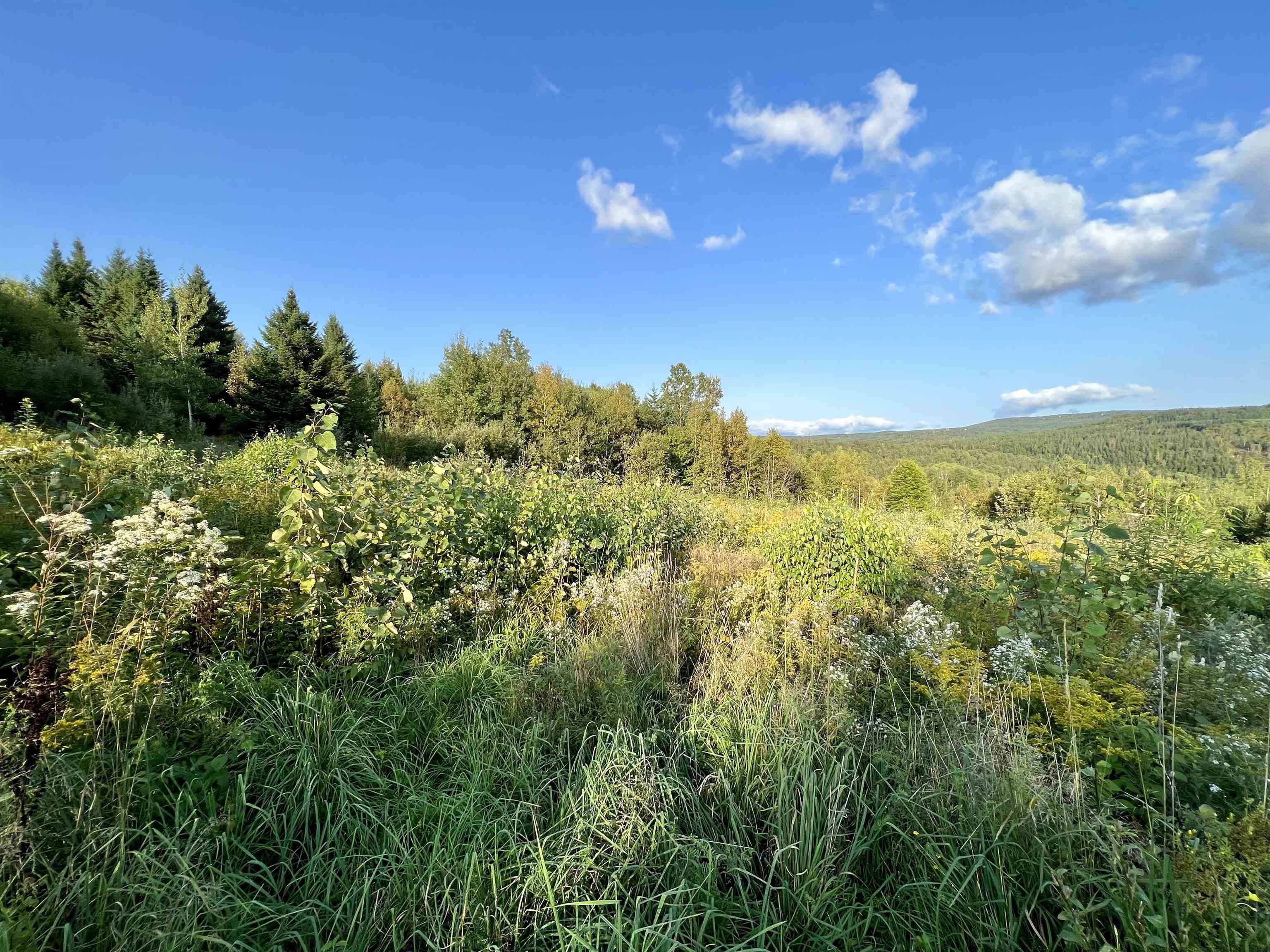 Lot 3 Gulch Brook Road, Unit 3 Stewartstown, NH 03576 - Photo 2 of 7