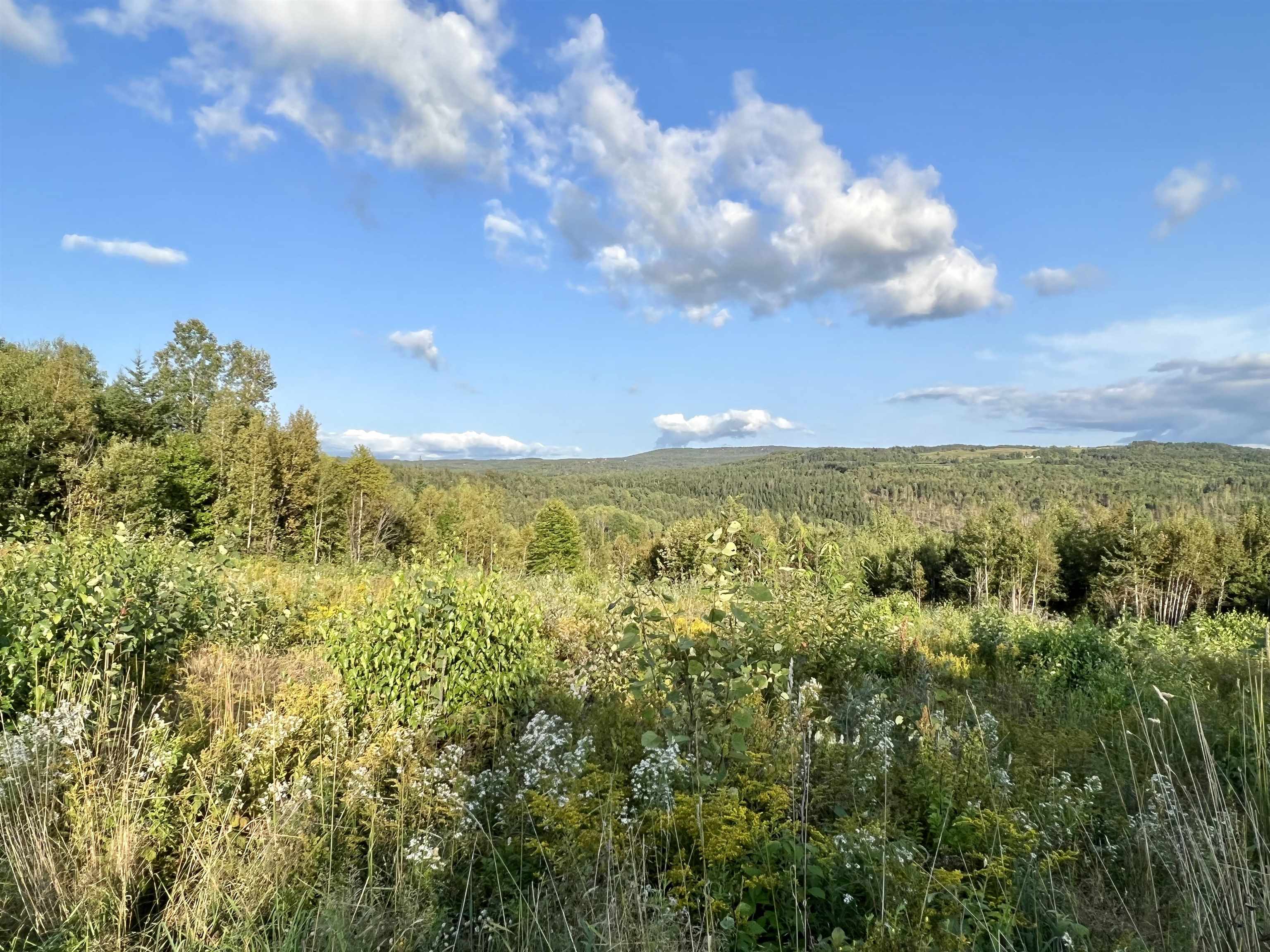 Lot 3 Gulch Brook Road, Unit 3 Stewartstown, NH 03576 - Photo 3 of 7