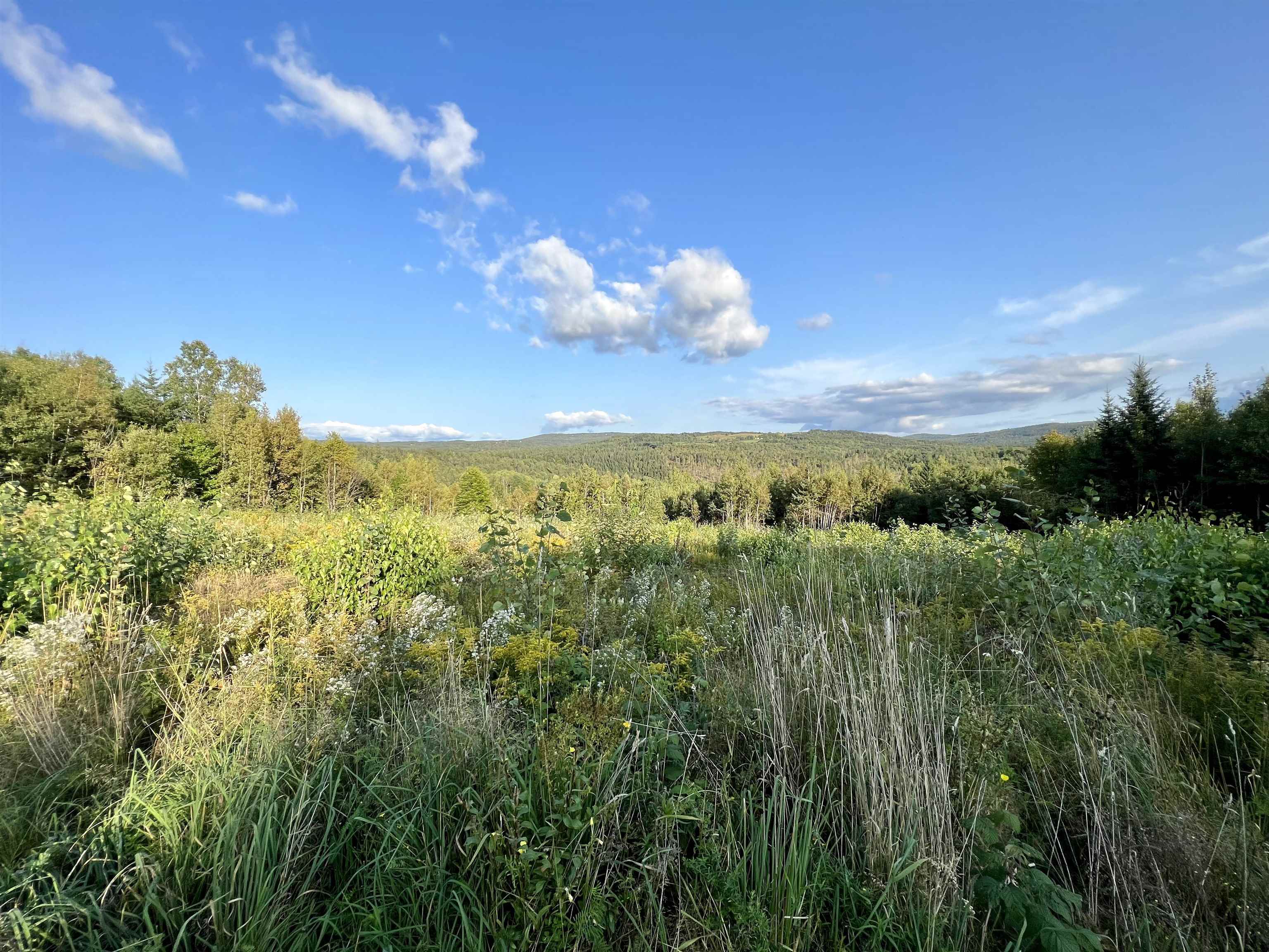 Lot 3 Gulch Brook Road, Unit 3 Stewartstown, NH 03576 - Photo 4 of 7