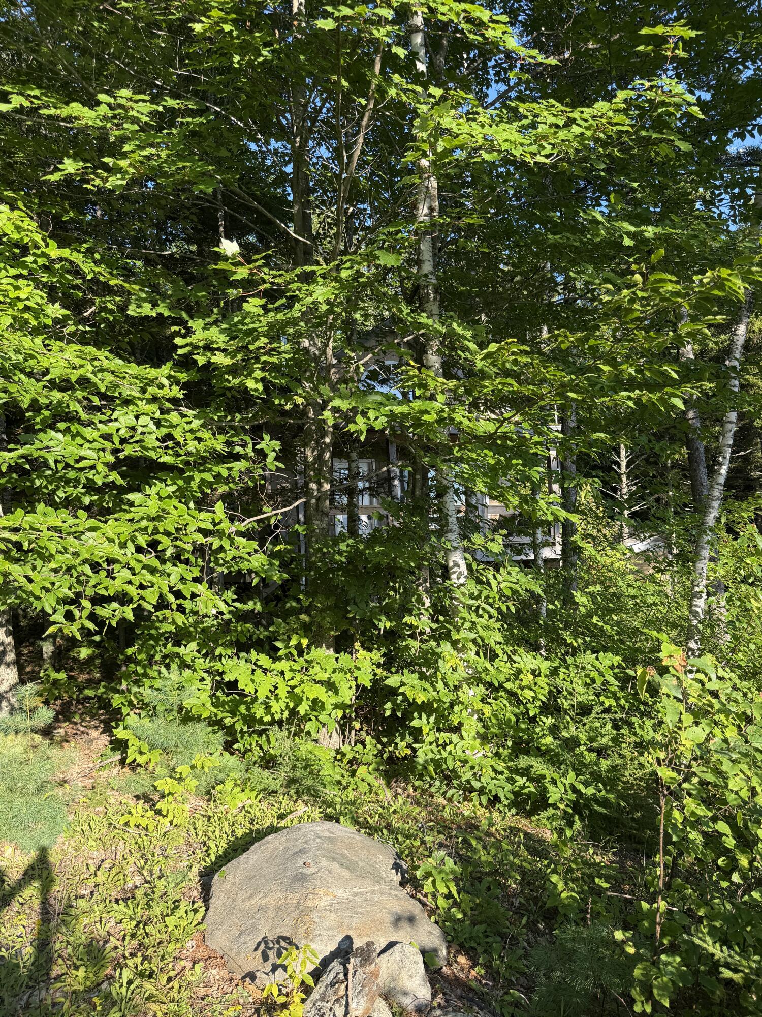 322 Lamb Road Roxbury, ME 04275 - Photo 39 of 42 IMG_0825