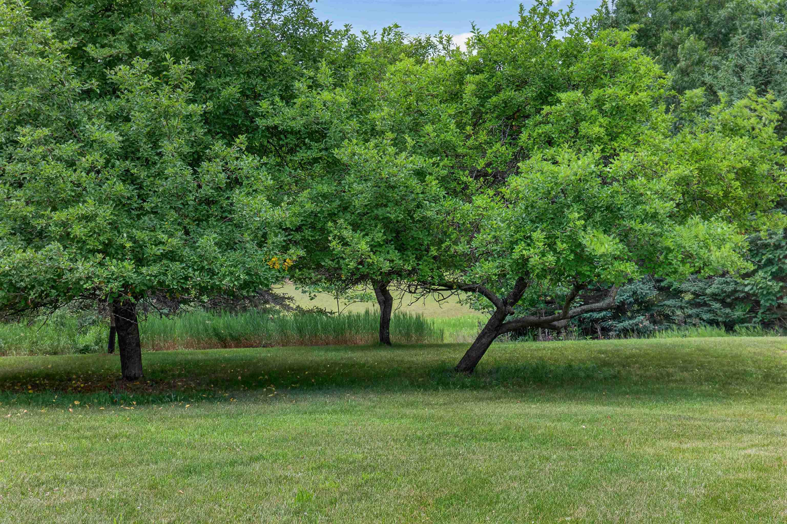 4245 Cassidy Road Gladwin, MI 48624 - Photo 42 of 49