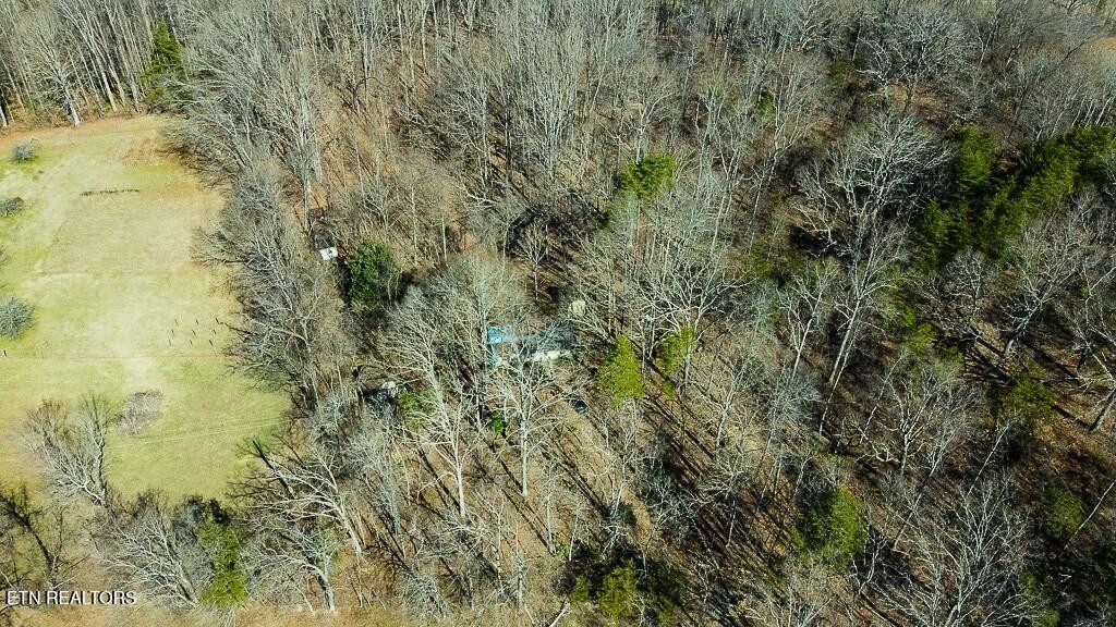 351 Blacks Ferry Road Knoxville, TN 37931 - Photo 14 of 29 Gallery Image 14