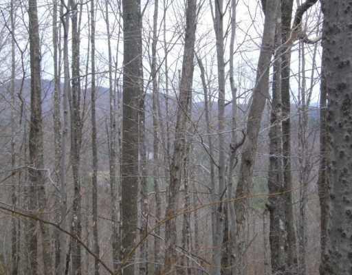Tbd Intervale Road Temple, ME 04984 - Photo 8 of 16 view 2 from partway up land
