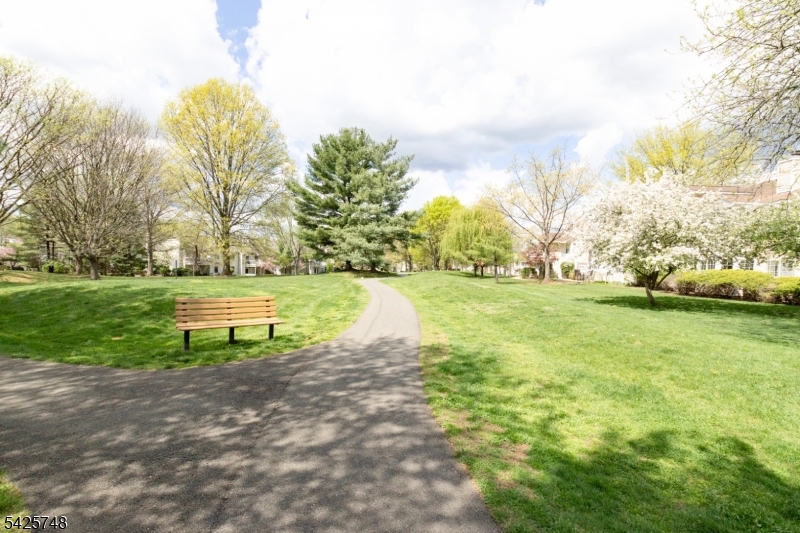 10 Crestmont Road Bedminster, NJ 07921 - Photo 35 of 41 a view of a park with large trees