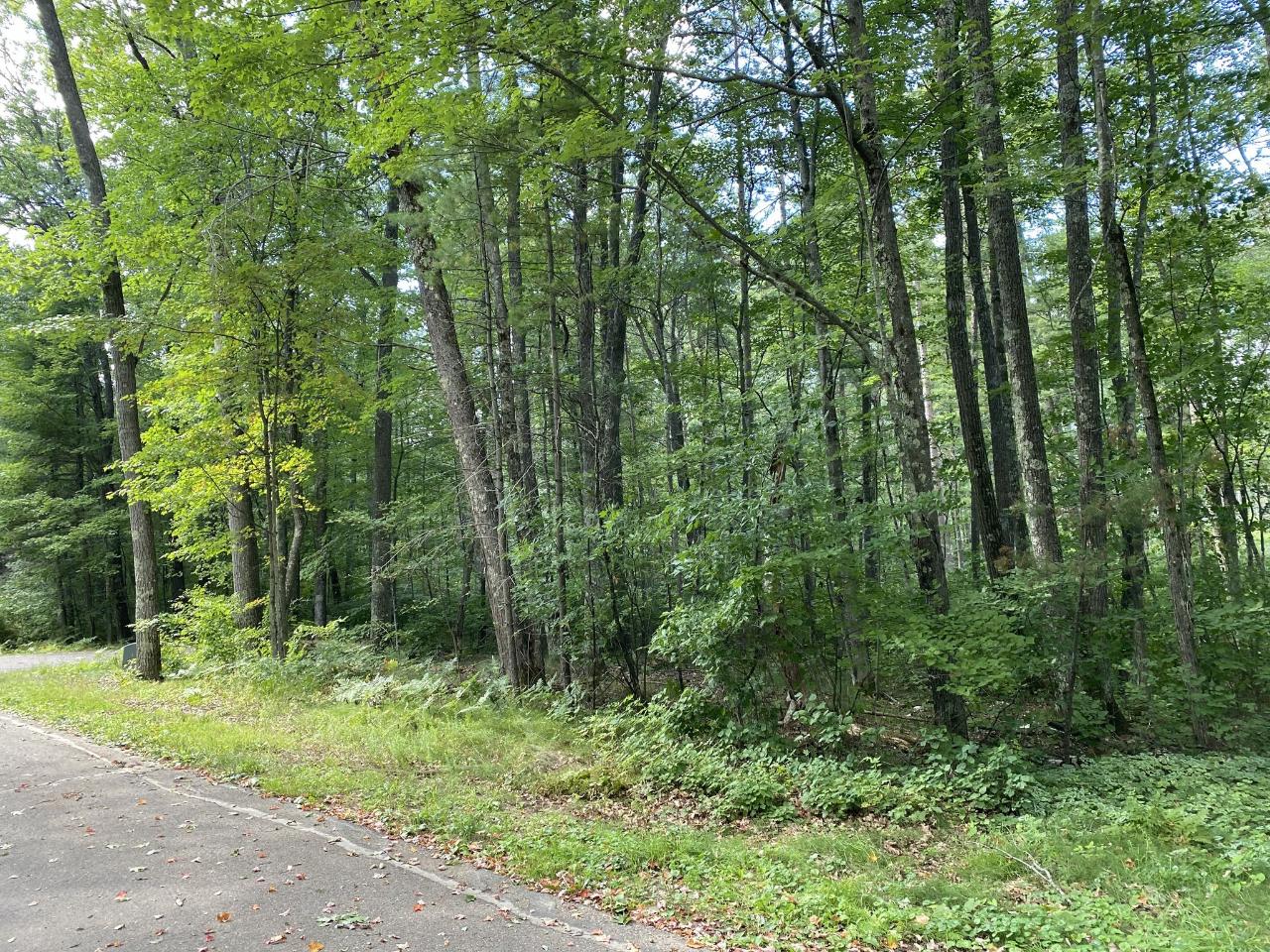 0 Madeline Lake Road Woodruff, WI 54568 - Photo 3 of 6 Gallery Image 3