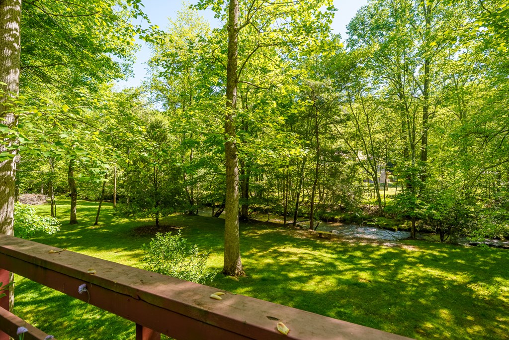 86 Tipton Court Cherry Log, GA 30522 - Photo 33 of 81 a backyard of a house with lots of green space