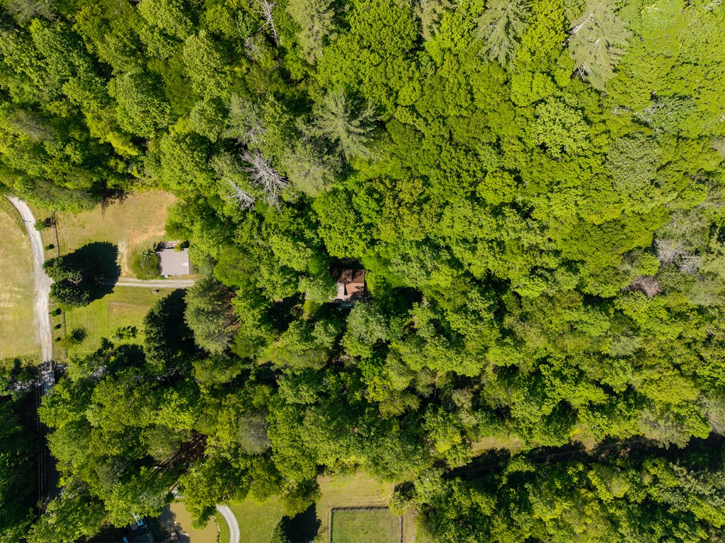 86 Tipton Court Cherry Log, GA 30522 - Photo 51 of 81