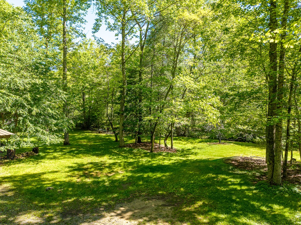 86 Tipton Court Cherry Log, GA 30522 - Photo 68 of 81 a view of a trees in a yard