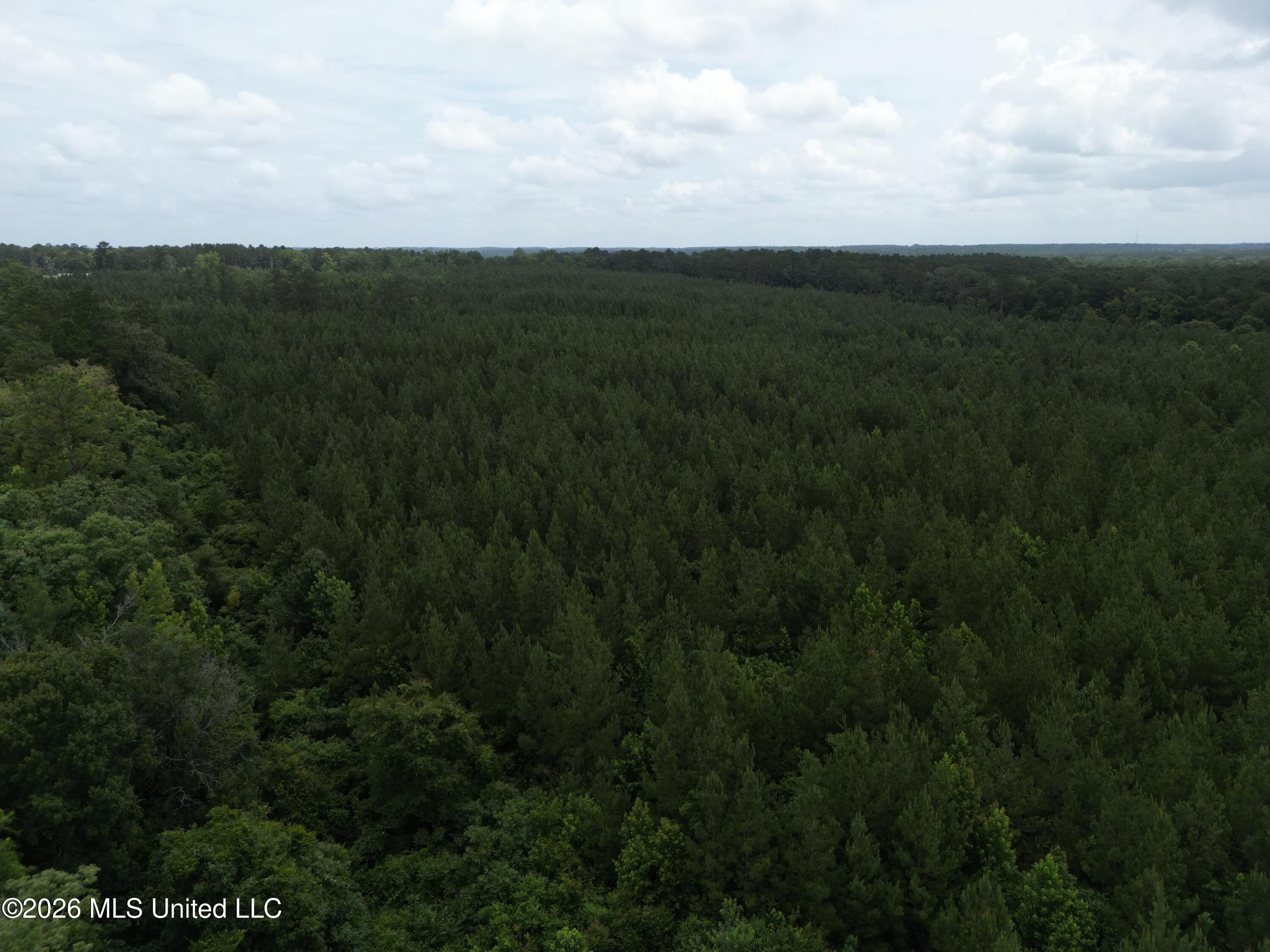 Summit Holmesville Road McComb, MS 39648 - Photo 21 of 29 DJI_0629