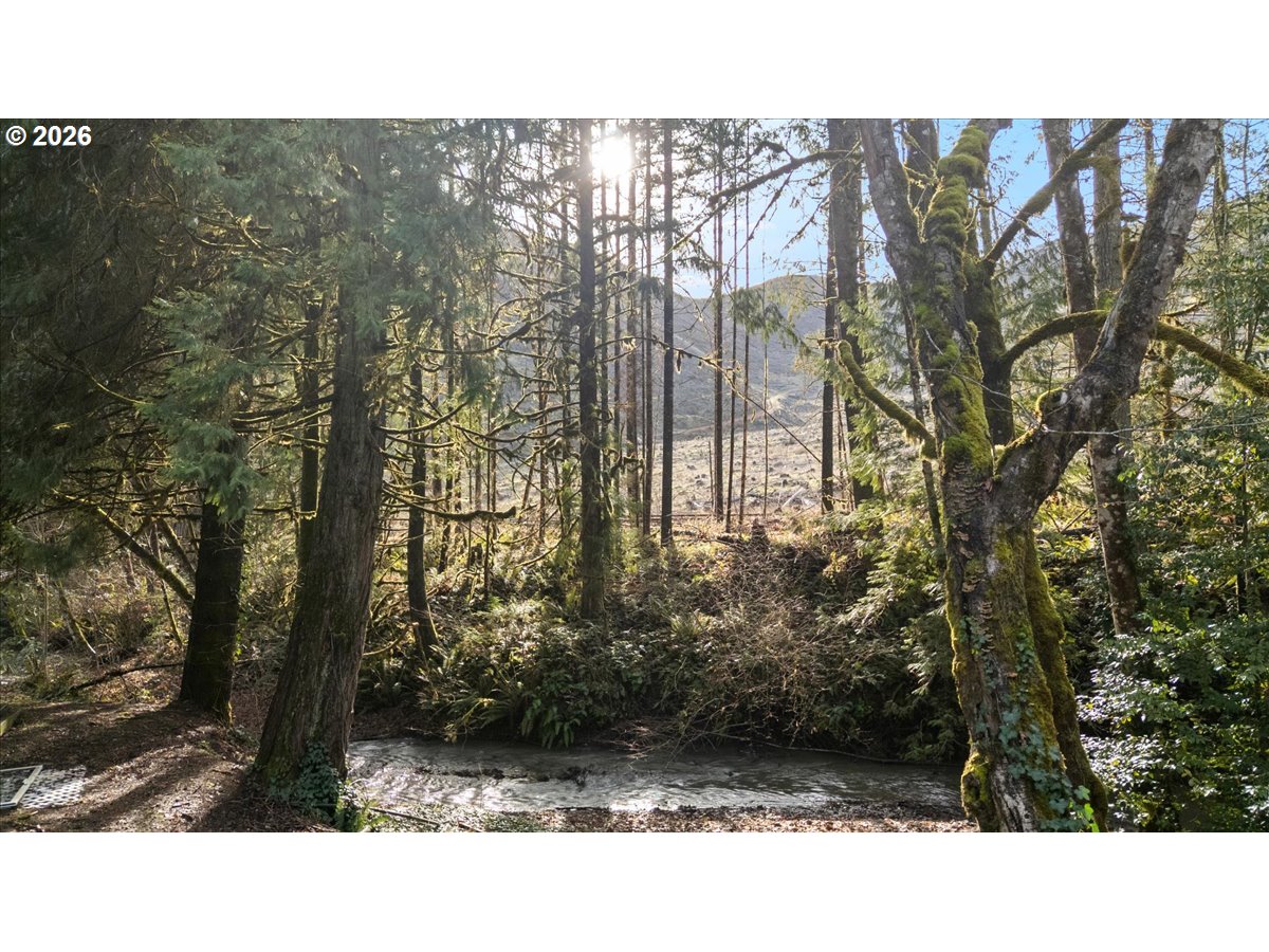 796 Lees Crk Road Myrtle Creek, OR 97457 - Photo 25 of 41