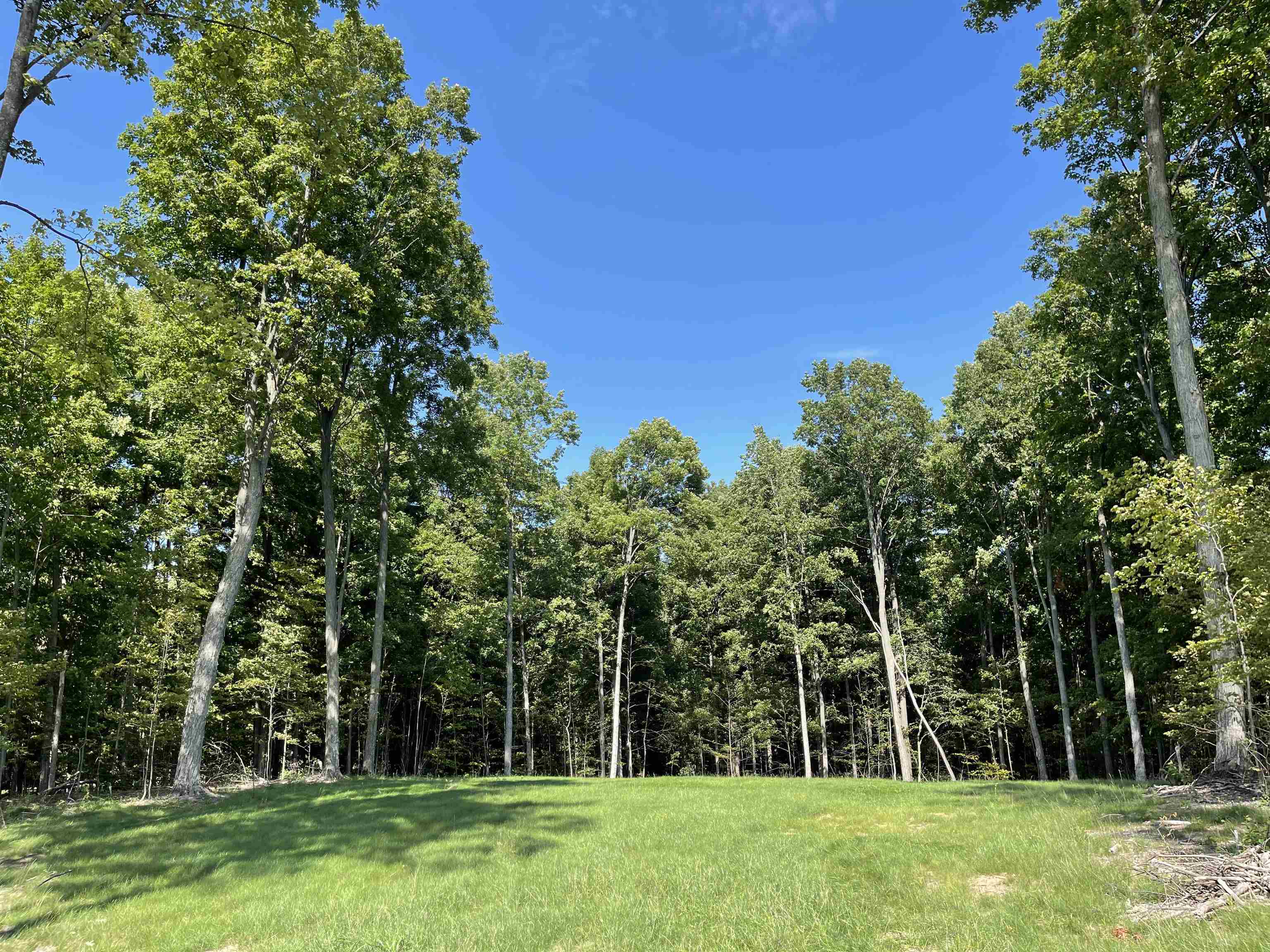 5954 Stagecoach Road, Unit LOT 48 Kingsley, MI 49649 - Photo 11 of 16