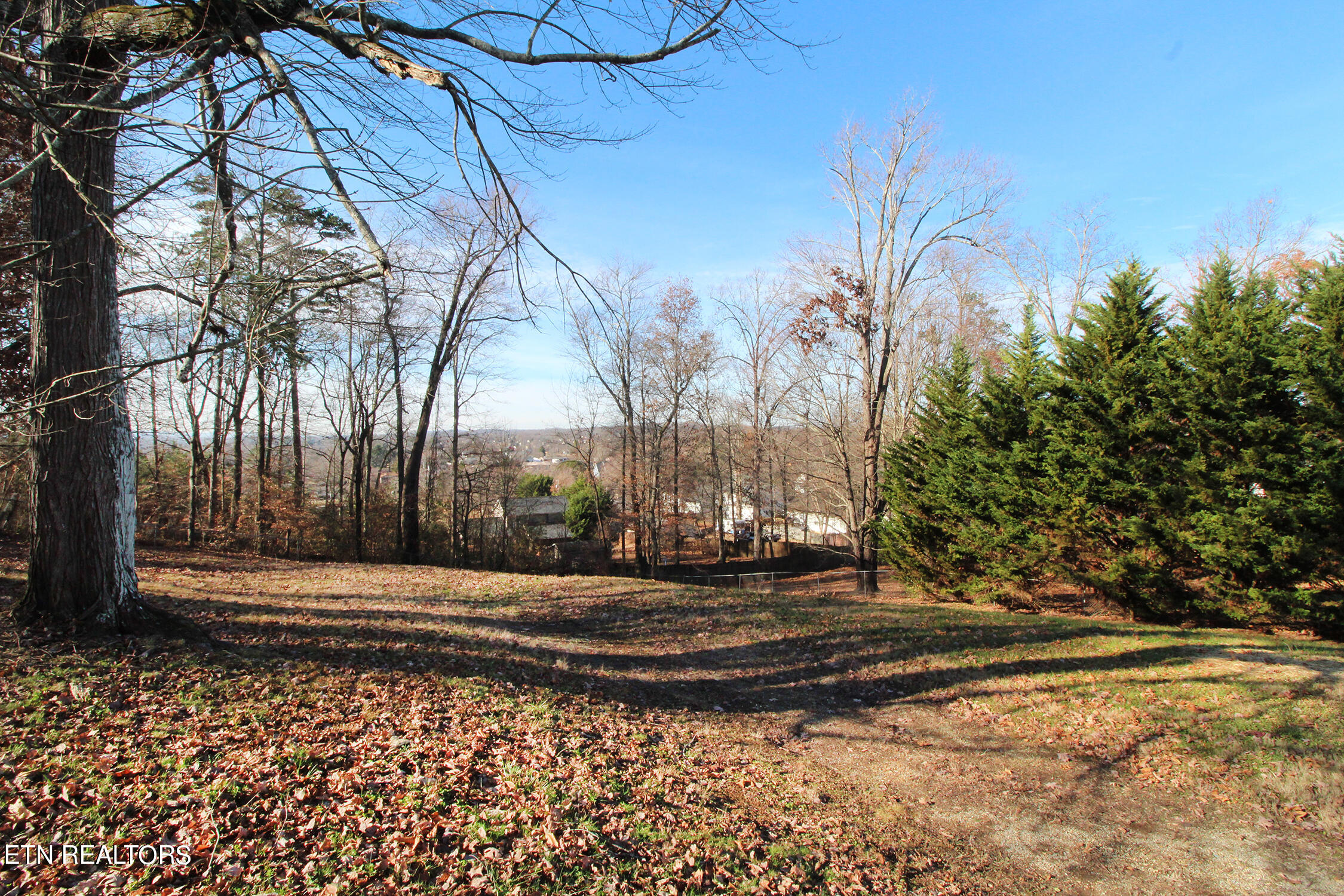 7839 Fersner Road Powell, TN 37849 - Photo 12 of 19 Backyard