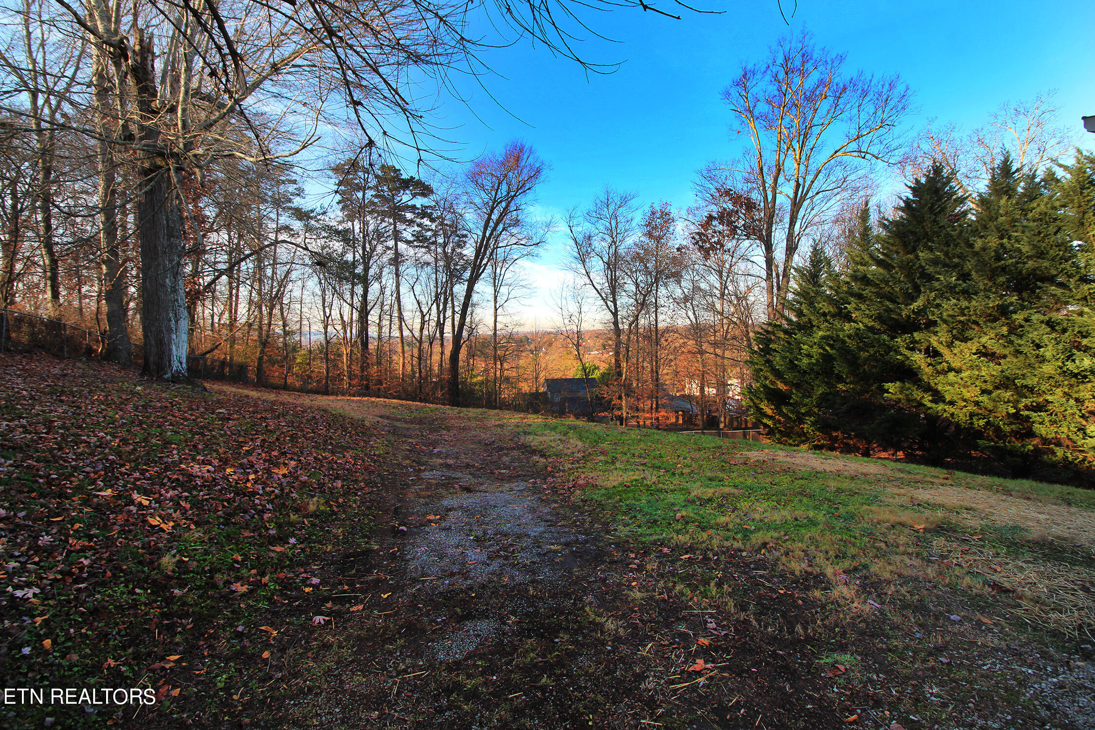 7839 Fersner Road Powell, TN 37849 - Photo 13 of 19 Backyard