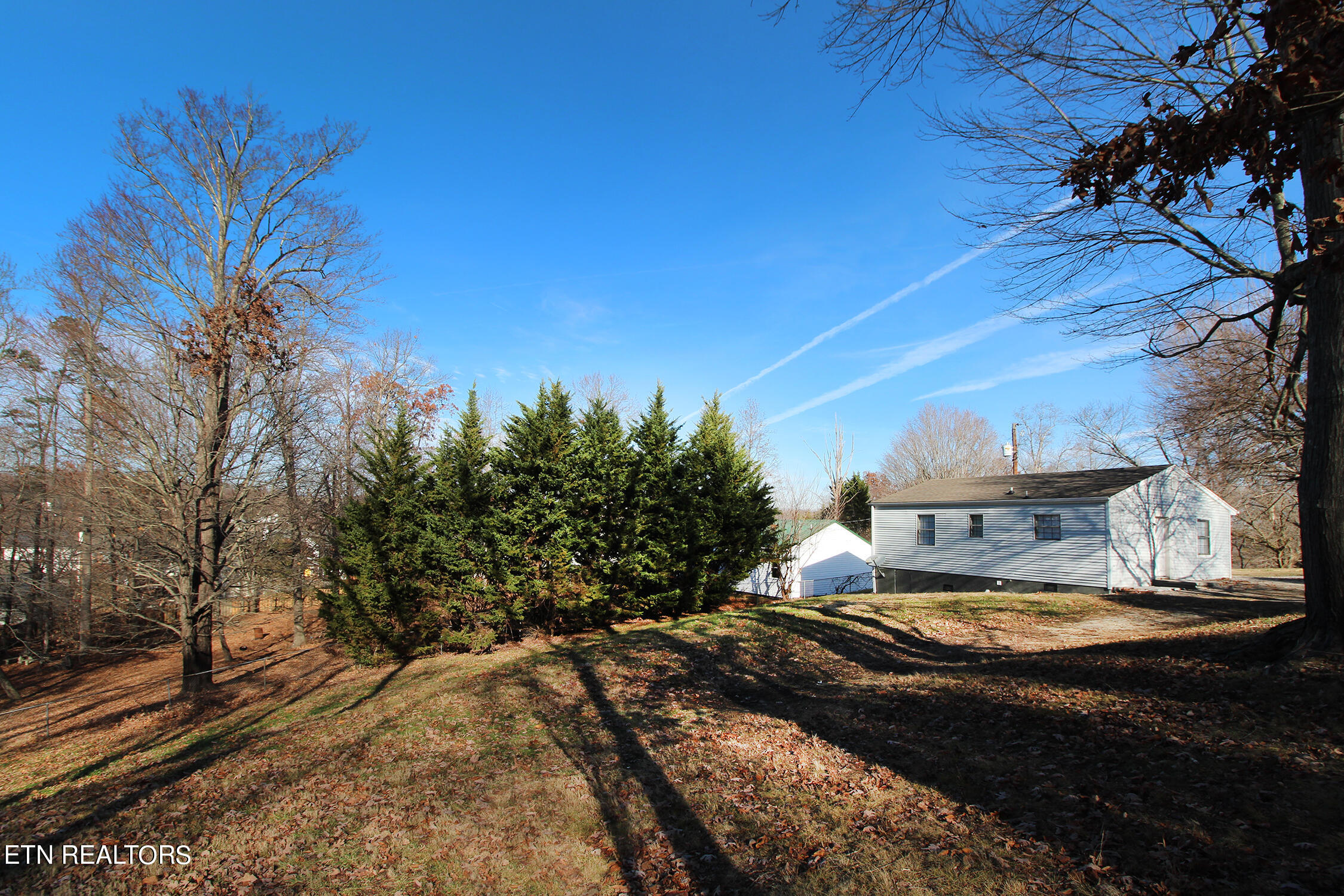 7839 Fersner Road Powell, TN 37849 - Photo 14 of 19 Backyard