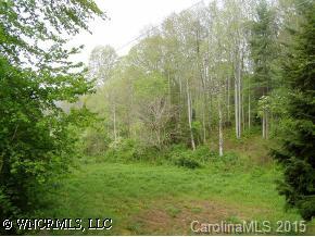 0 Whitaker Road Fairview, NC 28730 - Photo 2 of 2 a view of outdoor space and garden