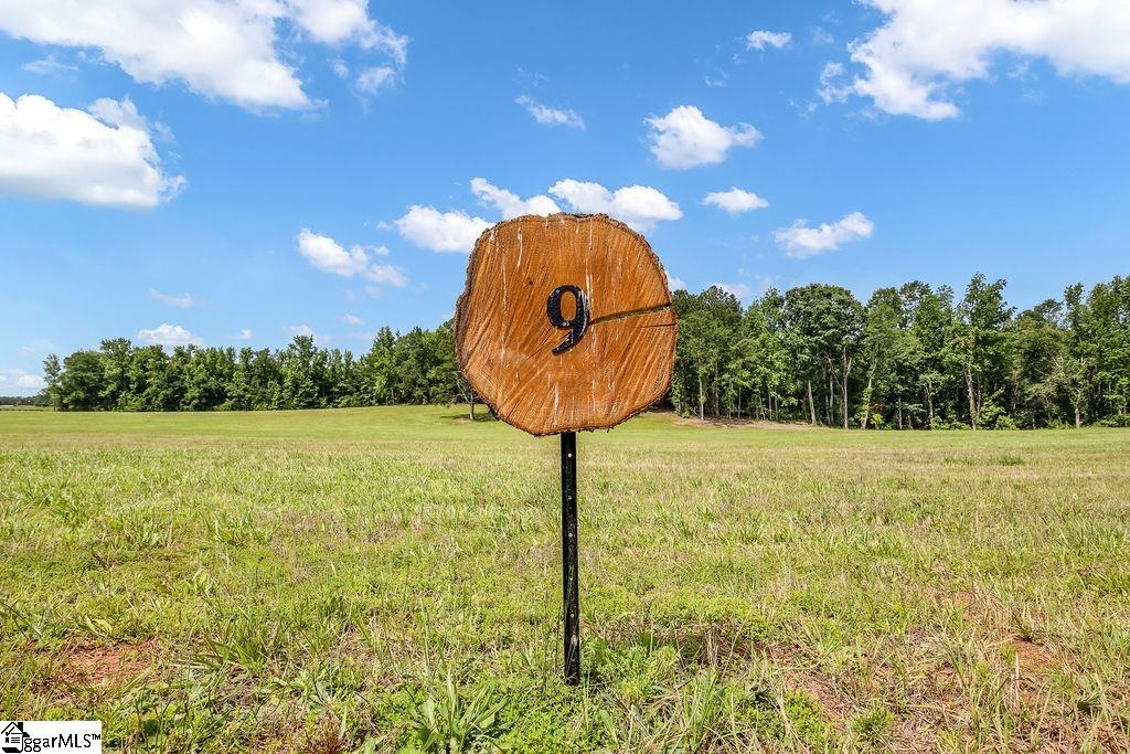 121 Flowing Rock Road, Unit LOT 9 Honea Path, SC 29654 - Photo 2 of 7