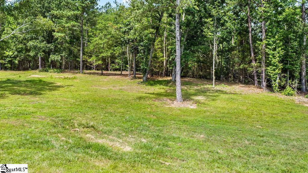 121 Flowing Rock Road, Unit LOT 9 Honea Path, SC 29654 - Photo 3 of 7