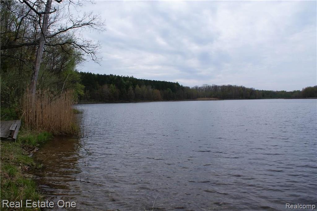 2 McKeen Lake Road Columbiaville, MI 48421 - Photo 2 of 51