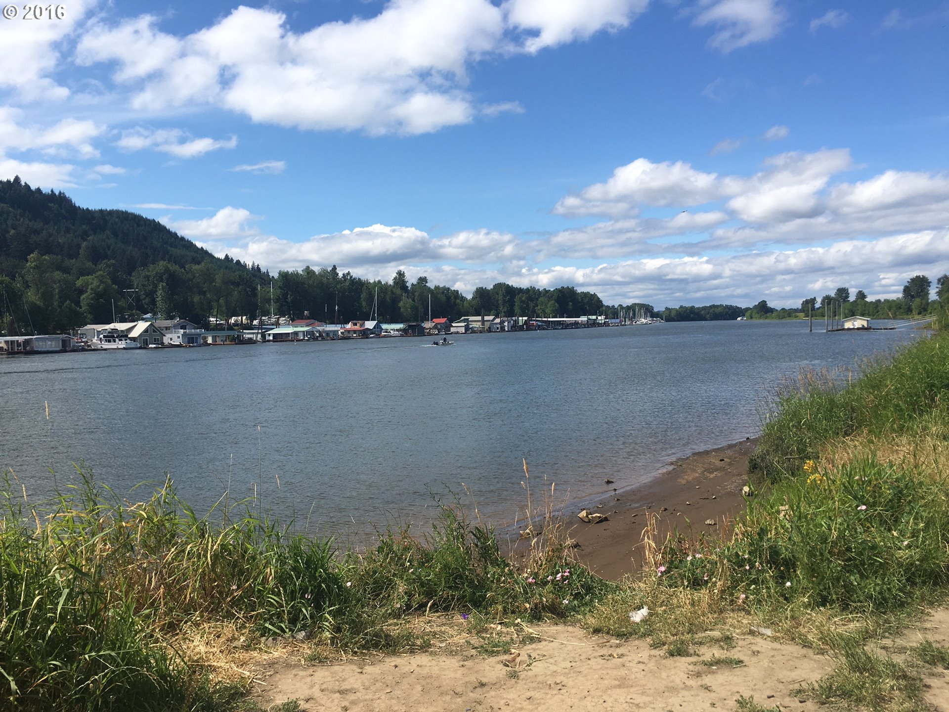 a view of a lake from a yard