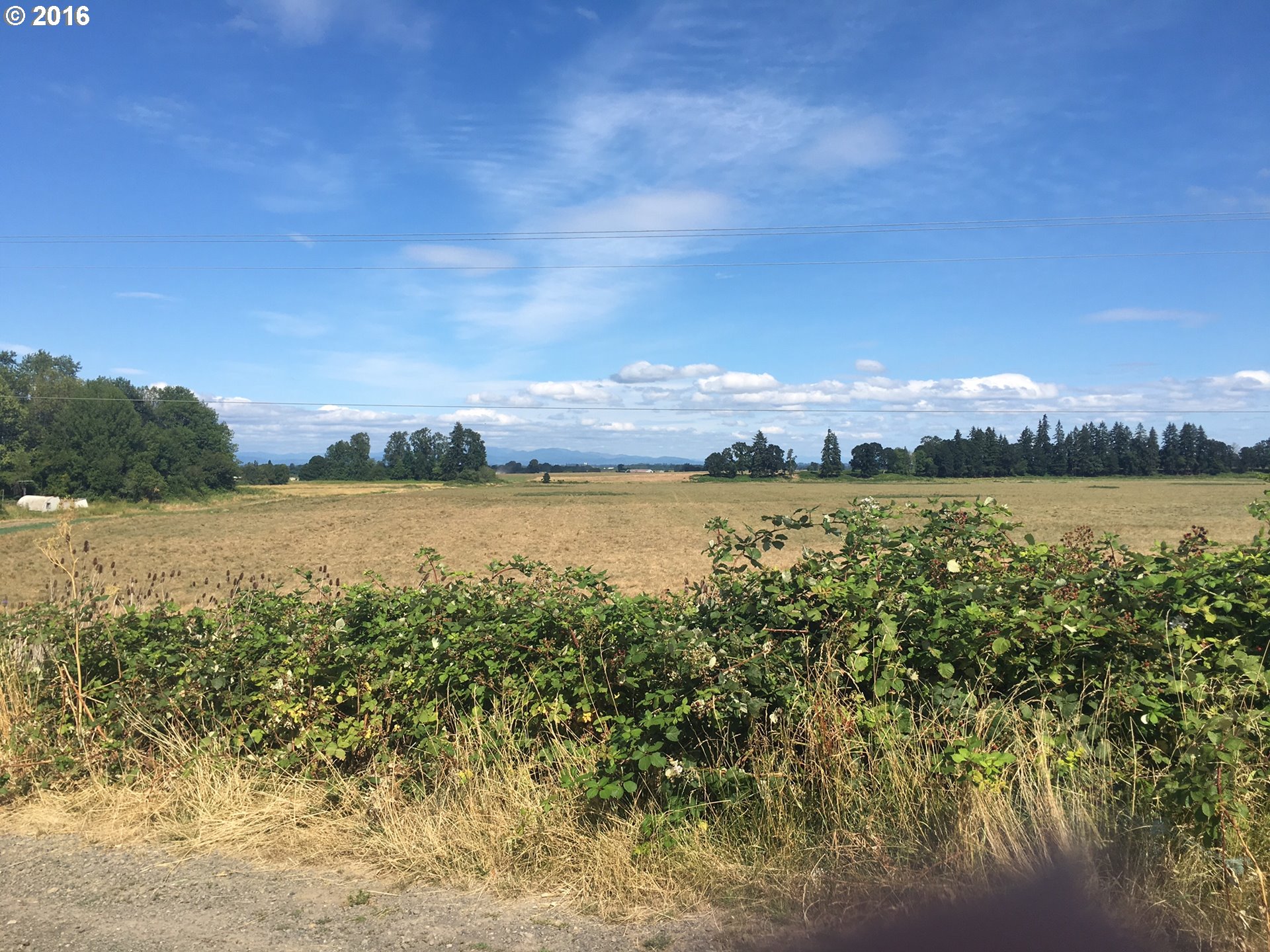 24514 Northwest Sauvie Island Road Portland, OR 97231 - Photo 13 of 16 a view of a lake with houses in the back