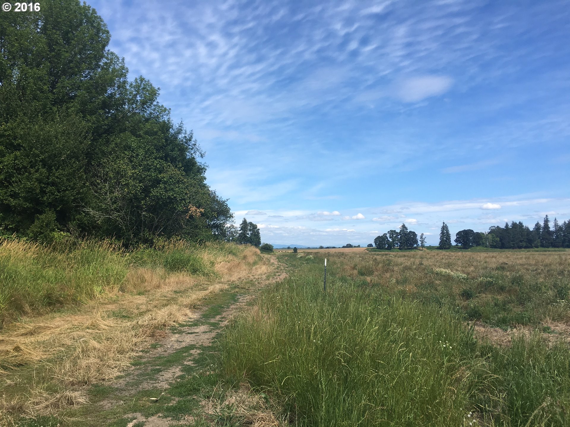 24514 Northwest Sauvie Island Road Portland, OR 97231 - Photo 14 of 16 a view of a lake in middle of forest