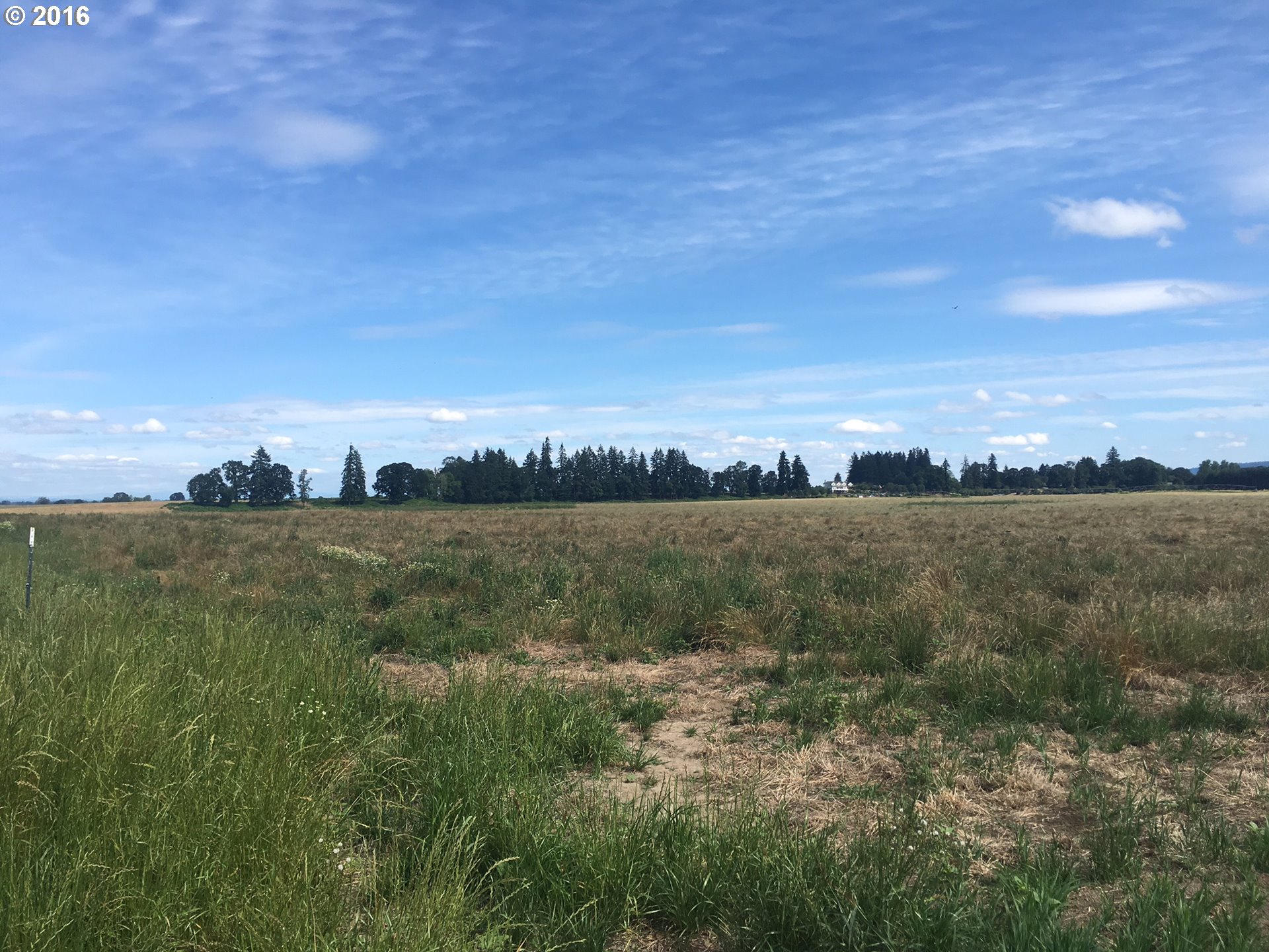 24514 Northwest Sauvie Island Road Portland, OR 97231 - Photo 15 of 16 an aerial view of residential houses with outdoor space and trees
