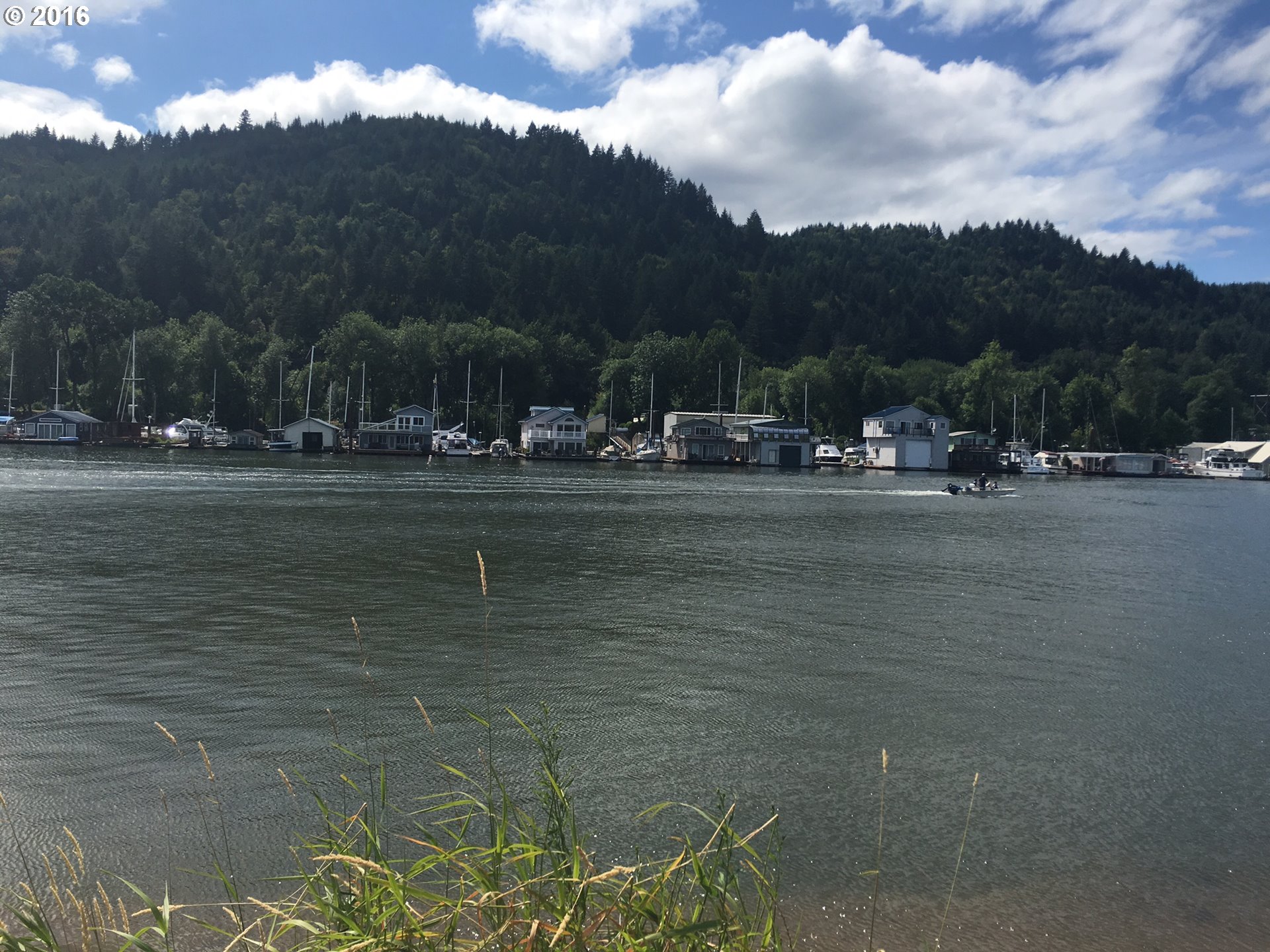 24514 Northwest Sauvie Island Road Portland, OR 97231 - Photo 2 of 16 a view of street with houses