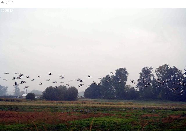 24514 Northwest Sauvie Island Road Portland, OR 97231 - Photo 4 of 16 a view of an outdoor space and yard