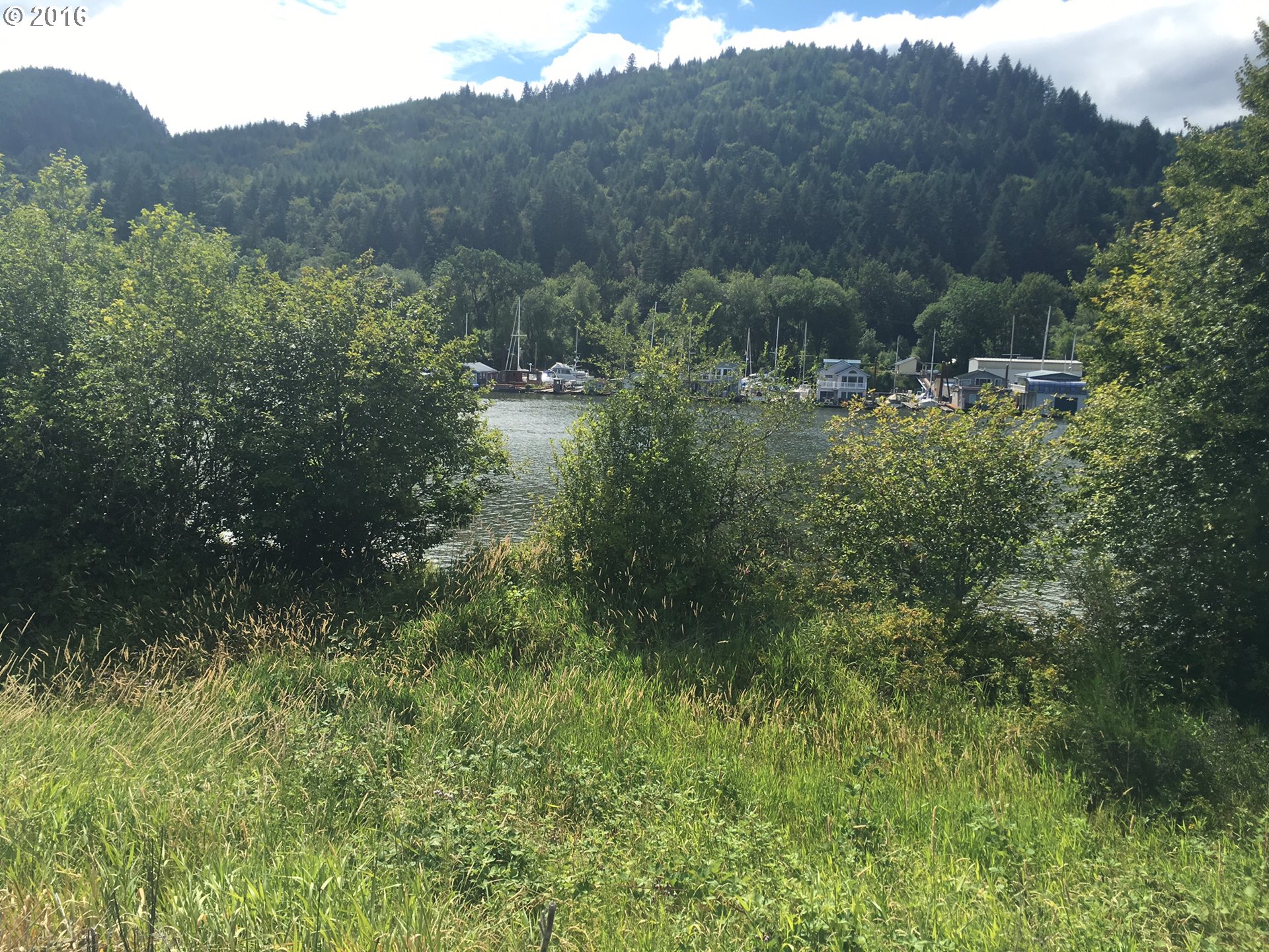 24514 Northwest Sauvie Island Road Portland, OR 97231 - Photo 5 of 16 a view of a lush green forest with trees in the background
