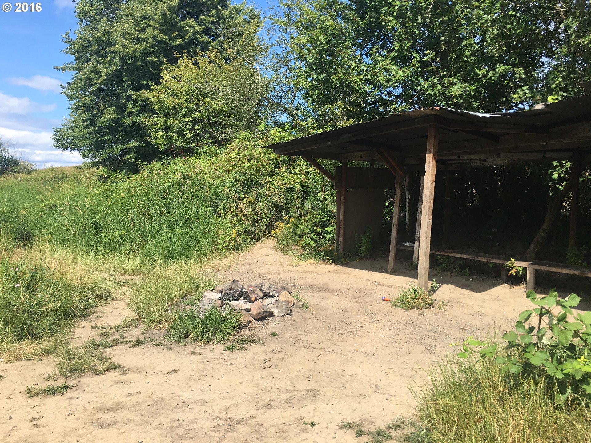 24514 Northwest Sauvie Island Road Portland, OR 97231 - Photo 6 of 16 a backyard of a house with lots of green space