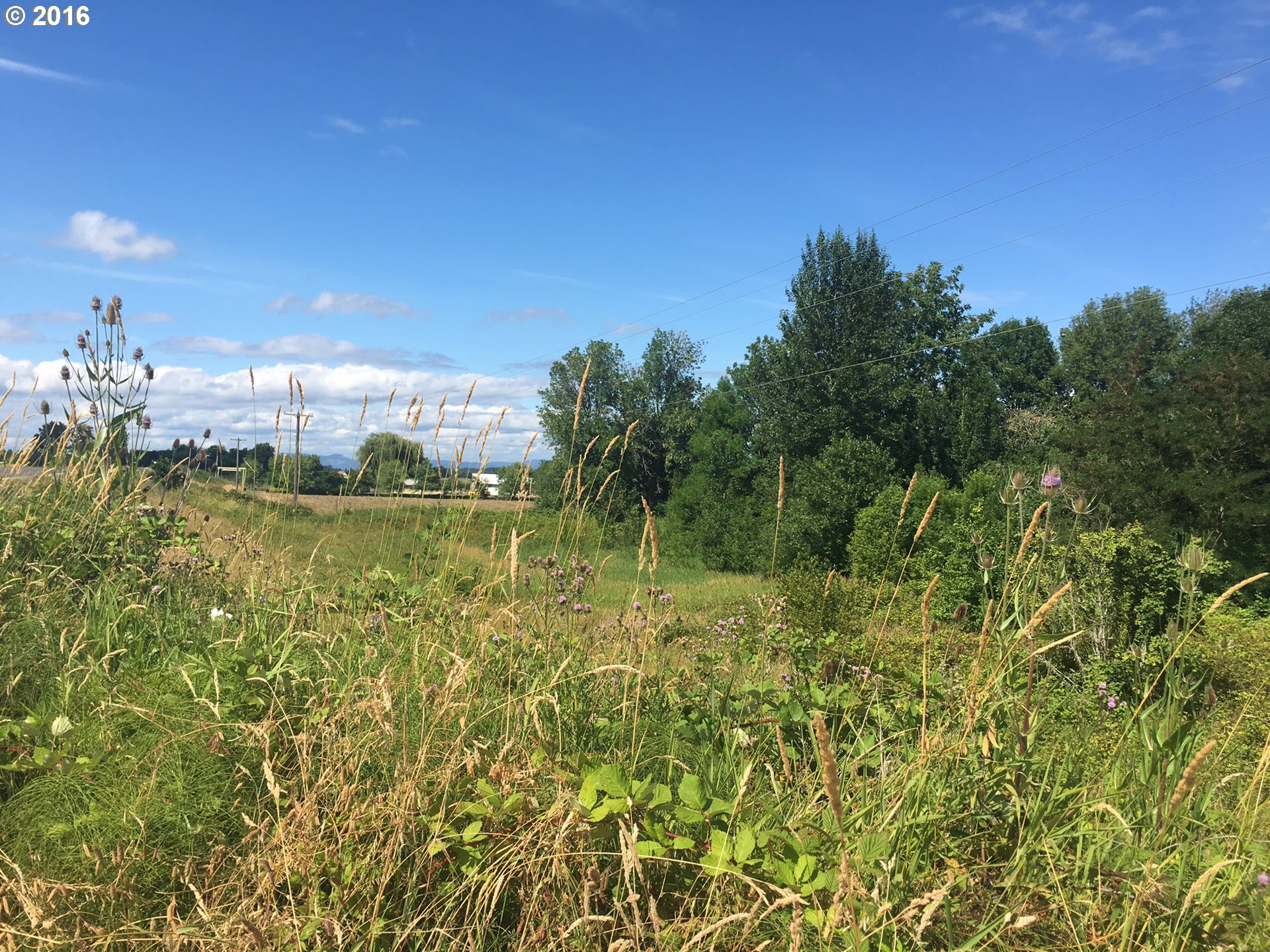 24514 Northwest Sauvie Island Road Portland, OR 97231 - Photo 8 of 16 a view of a houses with a yard