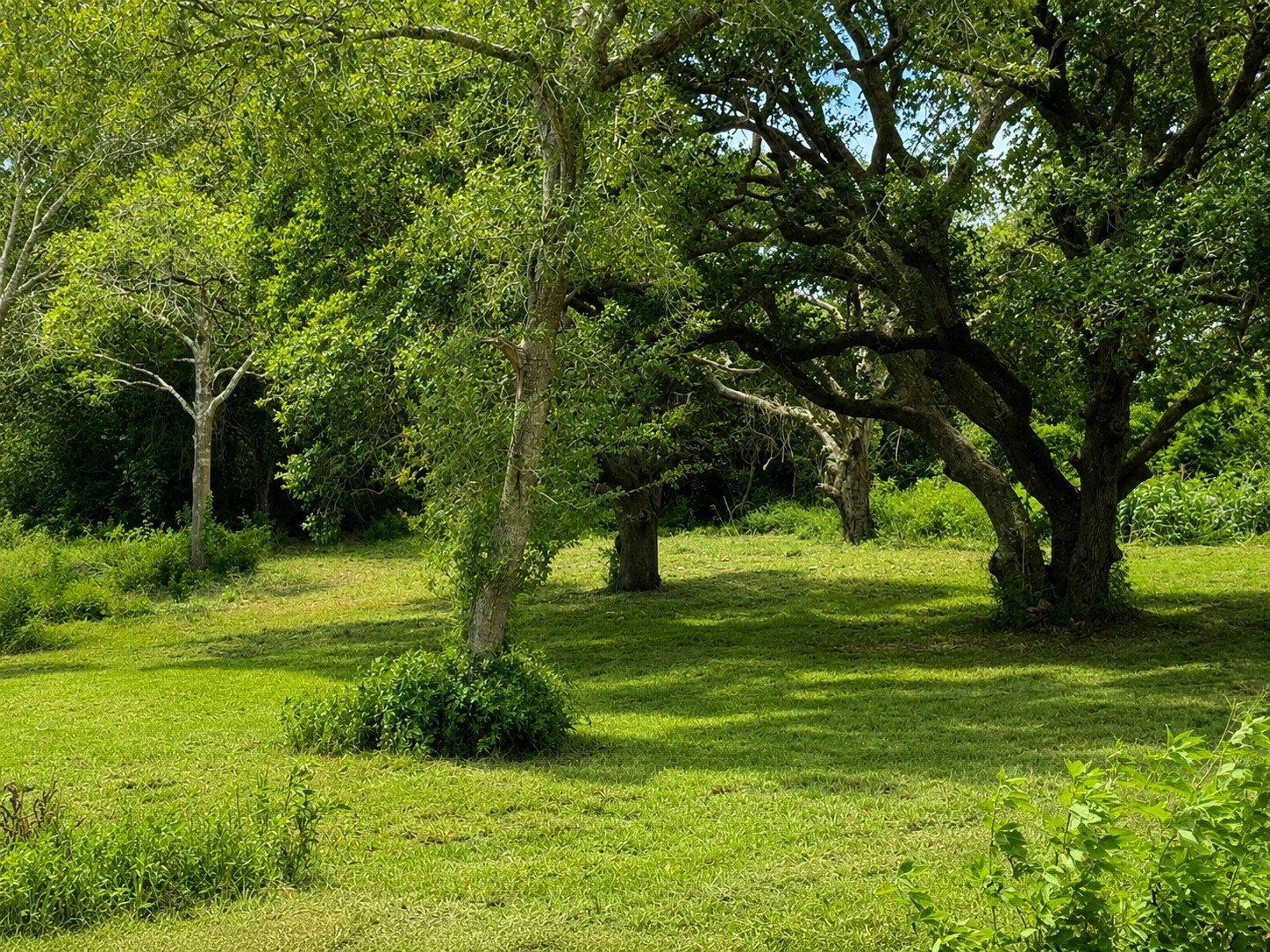 0 Riverside Drive Palacios, TX 77465 - Photo 4 of 7