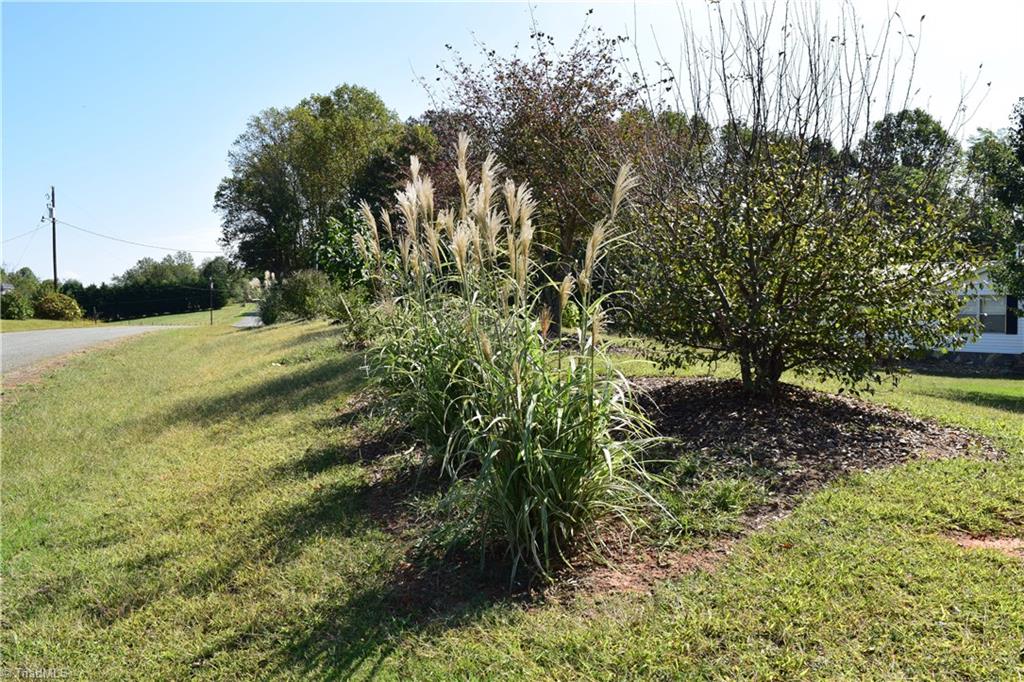 1046 Zeb Mabe Road Danbury, NC 27016 - Photo 21 of 24 Gallery Image 21