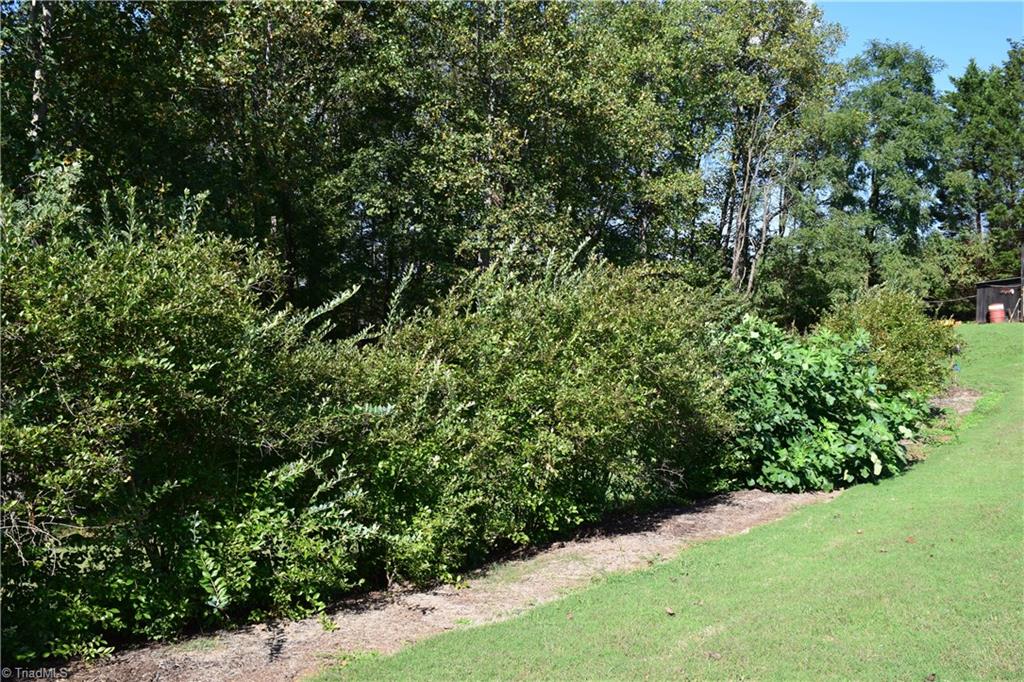 1046 Zeb Mabe Road Danbury, NC 27016 - Photo 22 of 24 Gallery Image 22
