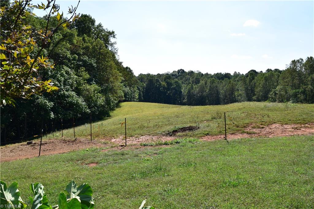 1046 Zeb Mabe Road Danbury, NC 27016 - Photo 23 of 24 Gallery Image 23